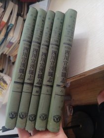 四川宣汉县志 全六册 缺第三册