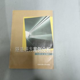 隧道坍方案例分析