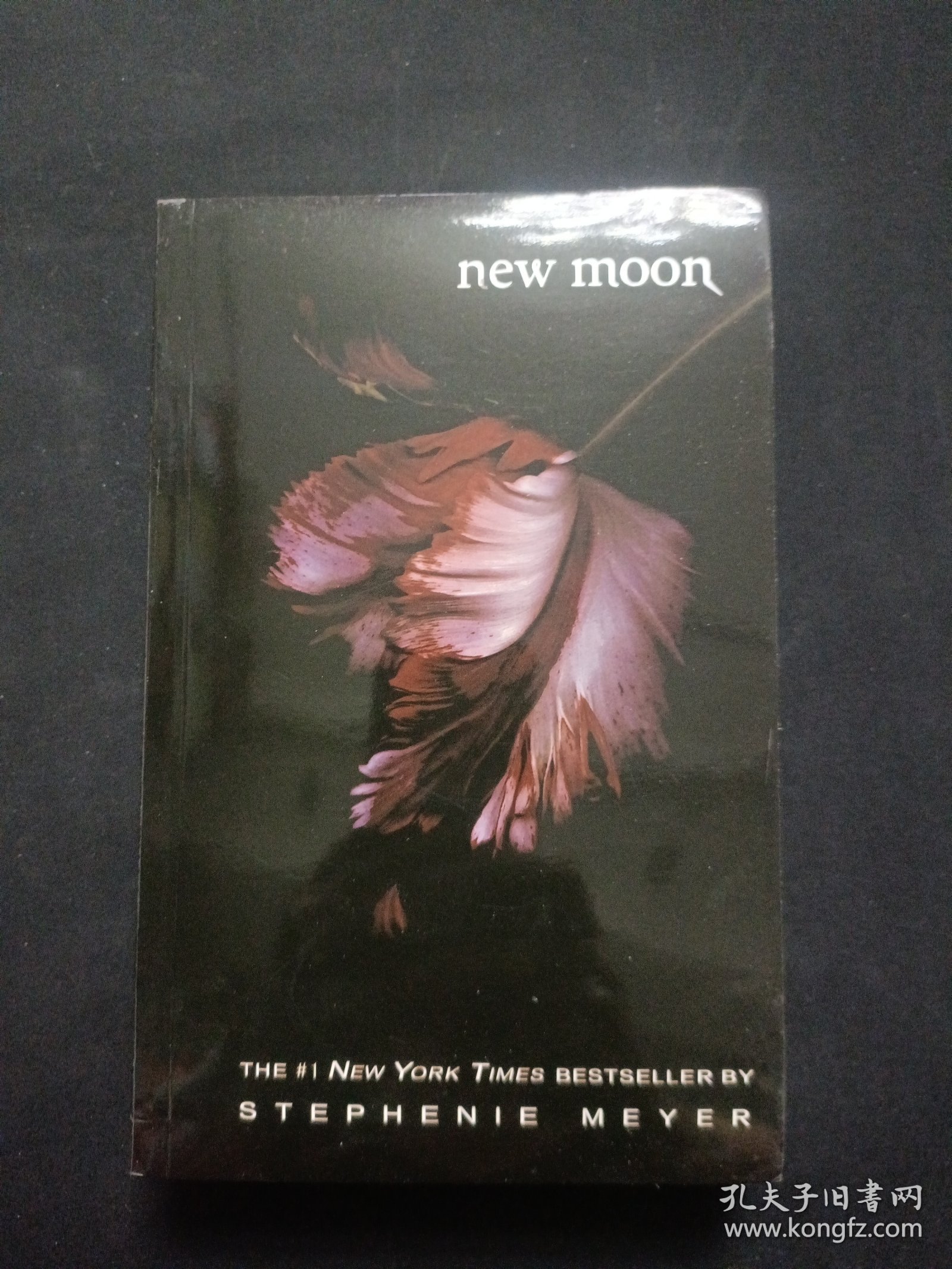 New Moon