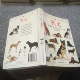 名犬：全世界300多种名犬的彩色图鉴