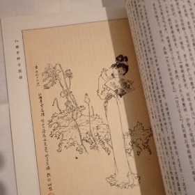 红楼梦群芳图谱