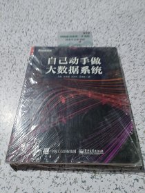 自己动手做大数据系统