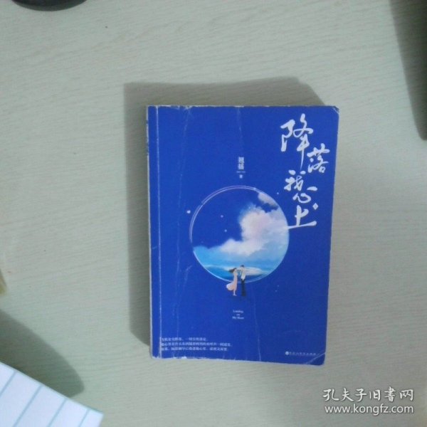 降落我心上 上册