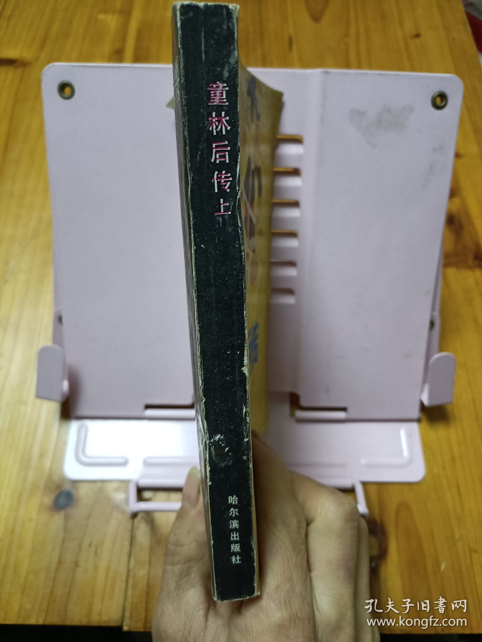 点击查看原图 童林后传(上)