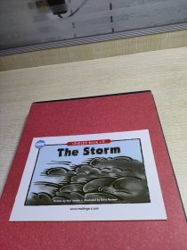 TheStorm