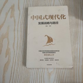 中国式现代化：发展战略与路径 国家高端智库首席专家蔡昉领衔之作