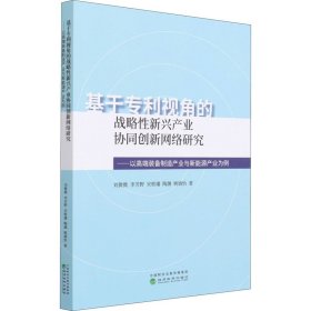 基于专利视角的战略性新兴产业协同创新网络研究