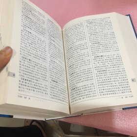 中国成语大辞典