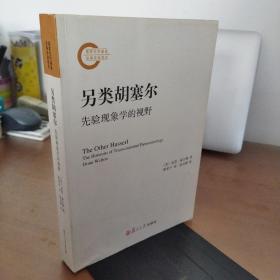 另类胡塞尔：先验现象学的视野