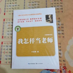 我怎样当老师/大教育书系