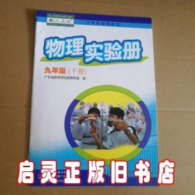 物理实验册 初三9九年级 下册 人教版