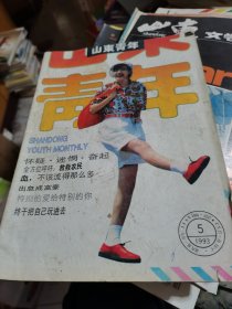 山东青年1993年第5期