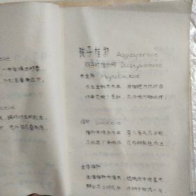 种子植物科特征口诀（油印本）