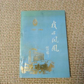 我与凤凰 1984-1994(介绍辽宁凤凰饭店)