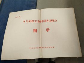 马克思主义哲学基本原理.图示解