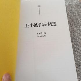 王小波作品精选