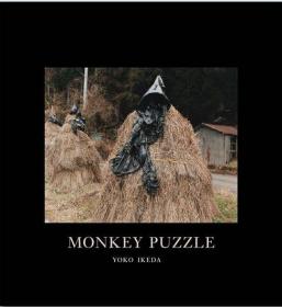 池田叶子 Yoko Ikeda Monkey Puzzle