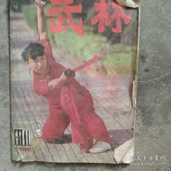 80年代武林杂志