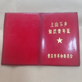 上山下乡知识青年证