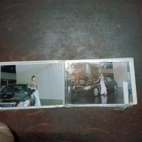 车展车模（照片）