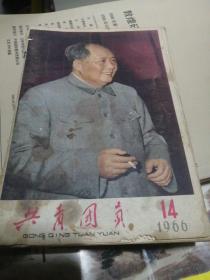 共青团员（1966年14）