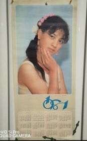 1981年历画傣族姑娘