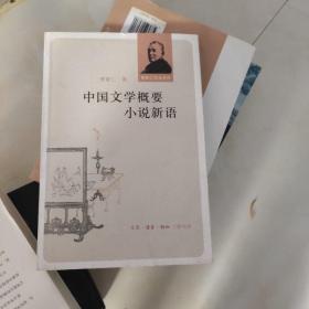 中国文学概要 小说新语