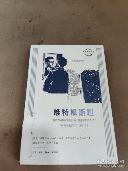 图画通识丛书：维特根斯坦