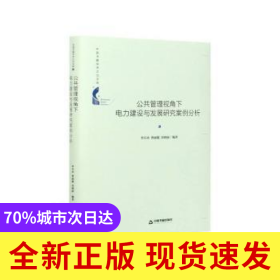 公共管理視角下電力建設(shè)與發(fā)展研究案例分析(精)/中國書籍學(xué)術(shù)之光文庫