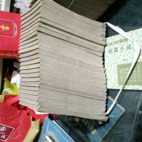 清史稿（1套48本差第一本）