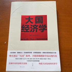 大国经济学： 面向长期、全局、多维的中国发展（系统解读中国经济的通识之作，陆铭、杨汝岱等十位一流经济学家协力打造，构建理解当代中国发展的新常识）