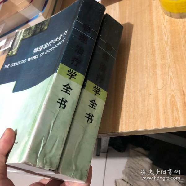 物理治疗学全书