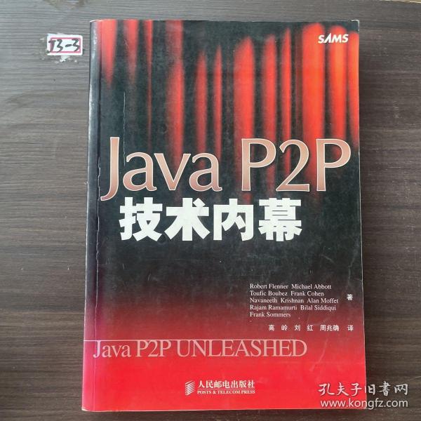 Java P2P技术内幕