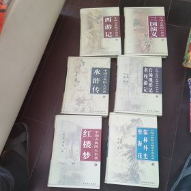 中国古典四大遣责名著+中国古典四大名著6本合售