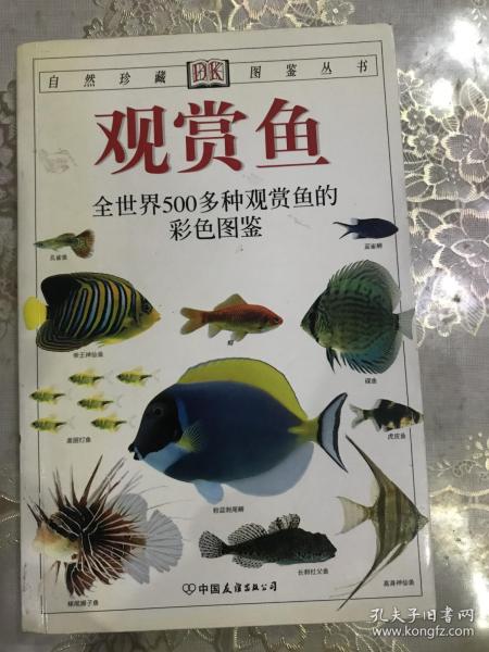 观赏鱼：全世界500多种观赏鱼的彩色图鉴