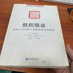 组织绩效：组织行为分析与业绩评价实用指南