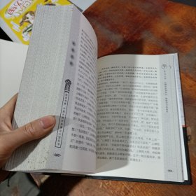 中国古典历史演义小说丛书：说岳全传.