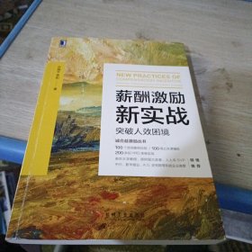 薪酬激励新实战：突破人效困境