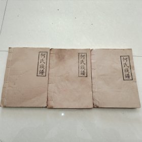 庐江堂碧水祠 何氏族谱 全三卷 湖南省浏阳市七宝山小水岭 线装油印本