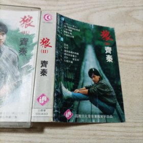 磁带齐秦狼2（带1989年年历片齐秦狼2）