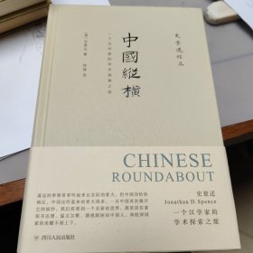 中国纵横：一个汉学家的学术探索之旅