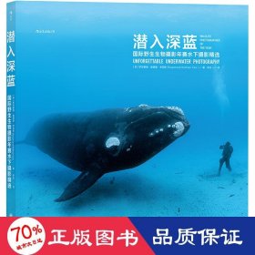 潜入深蓝：国际野生生物摄影年赛水下摄影精选
