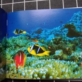 the great barricr reef 精装本