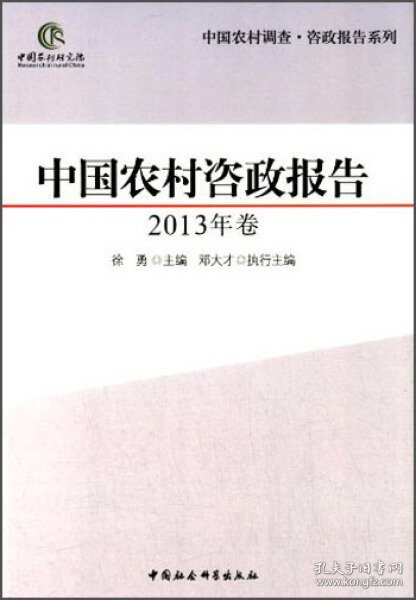 中国农村调查·咨政报告系列：中国农村咨政报告（2013年卷）