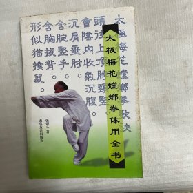 太极梅花螳螂拳体用全书