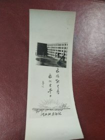 60年代河北北京师院~老照片