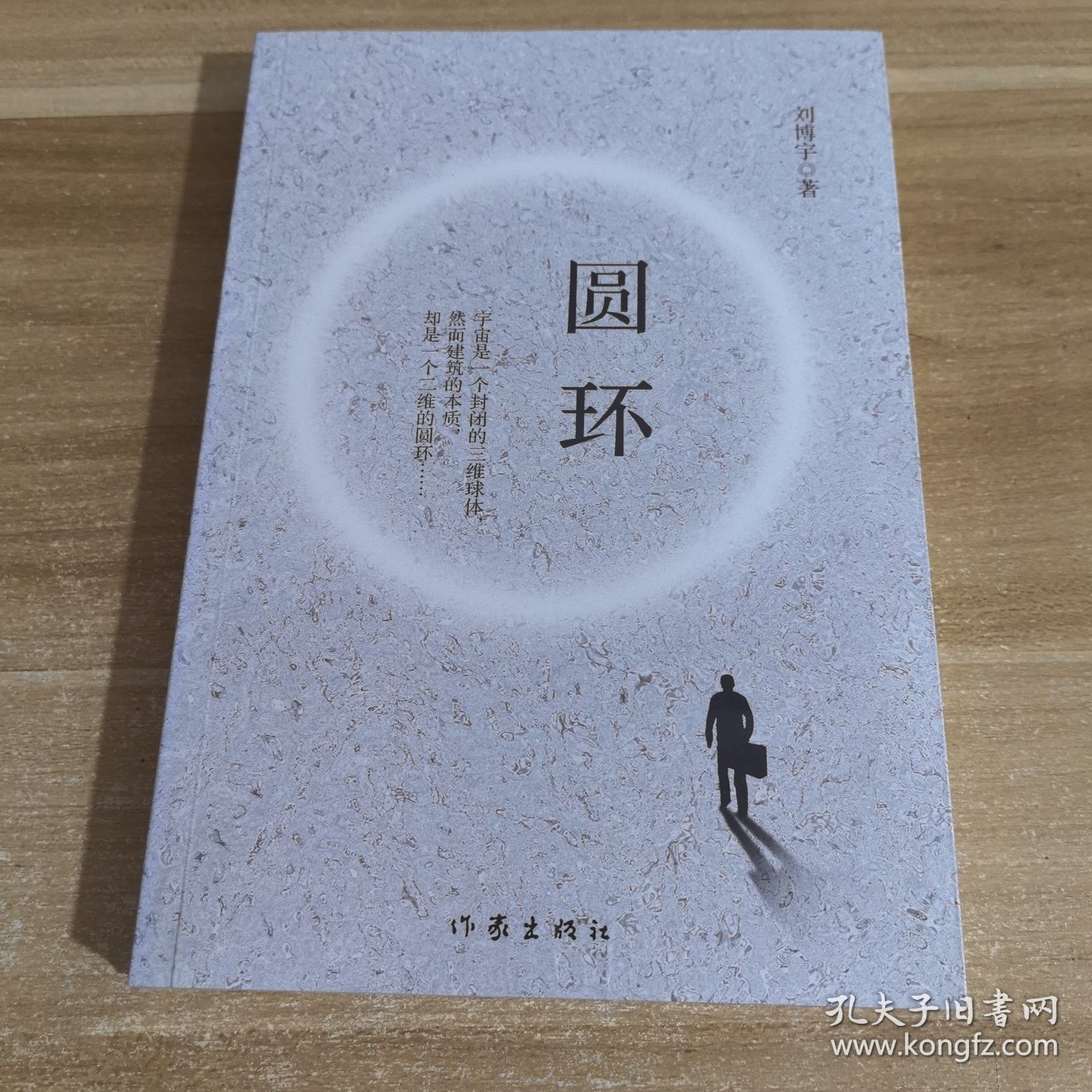 圆环（一部悬疑哲理小说，迷宫般的故事里弥漫着神秘惊悚的气息）