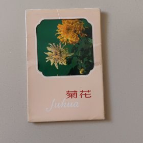 明信片《菊花》10枚 1964年1版1印