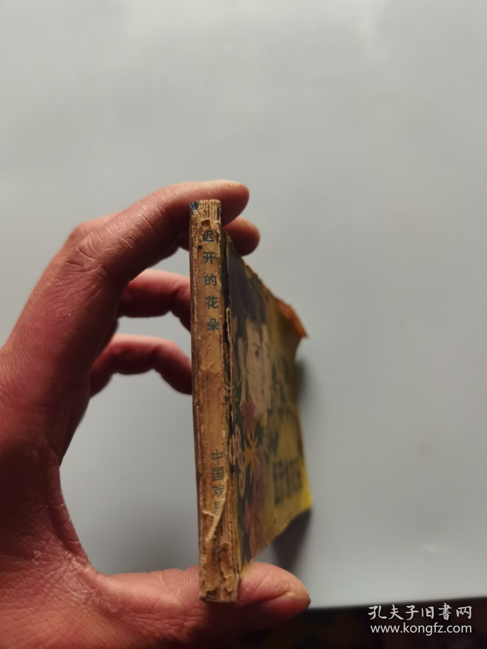 连环画 迟开的花朵