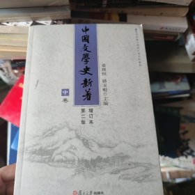 中国文学史新著（中卷）